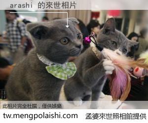 arashi 來世的未來相片