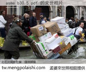 asme b30.5 pdf 來世的未來相片