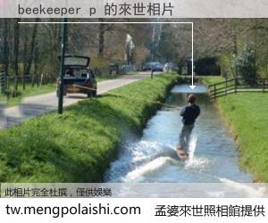 beekeeper p 來世的未來相片