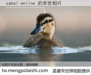 cabal online 來世的未來相片