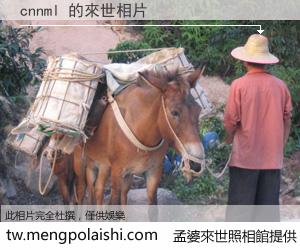cnnml 來世的未來相片