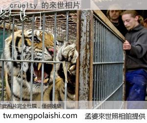 cruelty 來世的未來相片