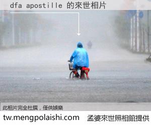 dfa apostille 來世的未來相片