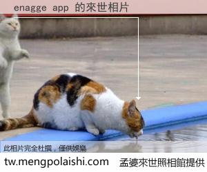 enagge app 來世的未來相片