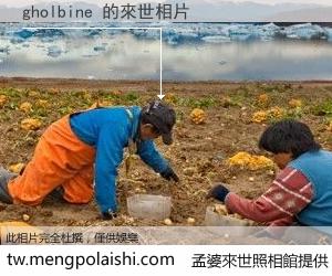 gholbine 來世的未來相片