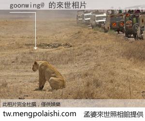 goonwing@ 來世的未來相片