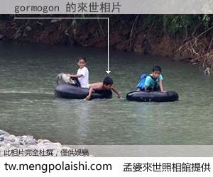 gormogon 來世的未來相片