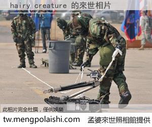 hairy creature 來世的未來相片