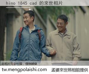 hino 1845 cad 來世的未來相片