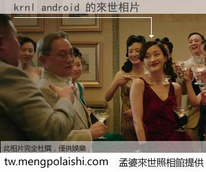 krnl android 來世的未來相片