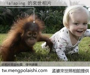 lalaping 來世的未來相片