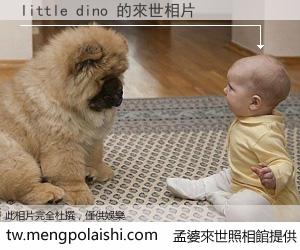 little dino 來世的未來相片