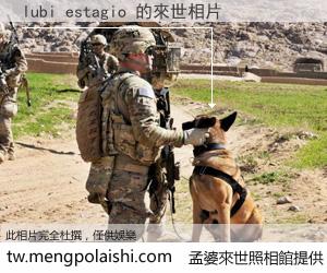 lubi estagio 來世的未來相片