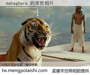 mahaghora 來世的未來相片