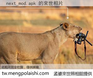 next_mod.apk 來世的未來相片