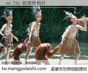 no.73s 來世的未來相片