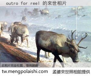 outro for reel 來世的未來相片