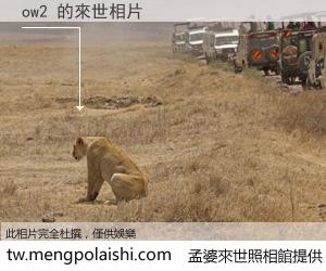 ow2 來世的未來相片