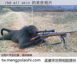 rb6 all skin 來世的未來相片