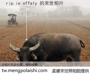 rip.ie offaly 來世的未來相片