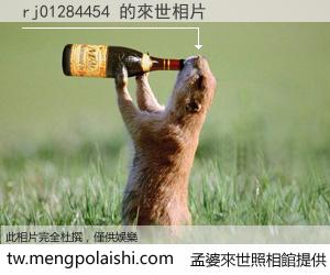 rj01284454 來世的未來相片