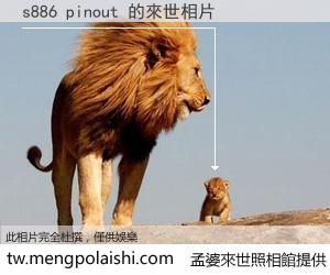 s886 pinout 來世的未來相片