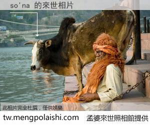 so'na 來世的未來相片