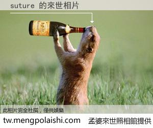 suture 來世的未來相片