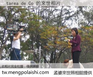 tarea de Co 來世的未來相片