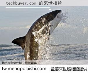 techbuyer.com 來世的未來相片