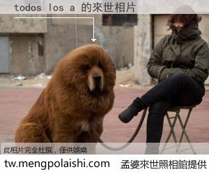 todos los a 來世的未來相片