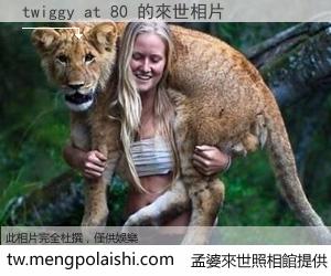 twiggy at 80 來世的未來相片