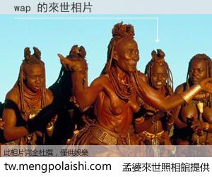 wap 來世的未來相片