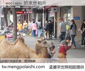 wociapu 來世的未來相片