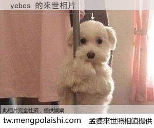 yebes 來世的未來相片