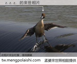 z.z.z. 來世的未來相片