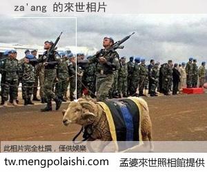 za'ang 來世的未來相片