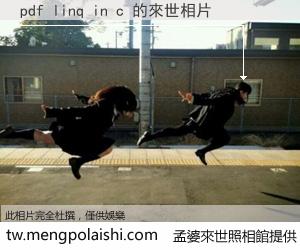 pdf linq in c 來世的未來相片