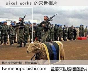 pixel works 來世的未來相片