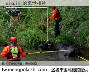 pixpin 來世的未來相片