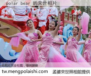 polar bear 來世的未來相片