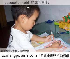 popopoka redd 來世的未來相片