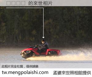 فقشد 來世的未來相片