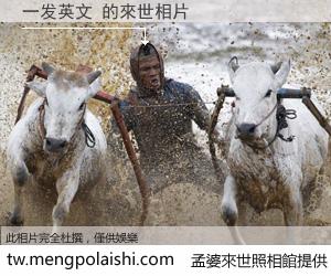 一发英文 來世的未來相片