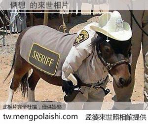 俩想 來世的未來相片