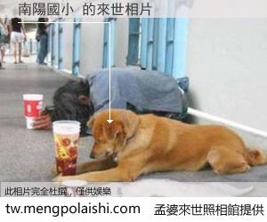 南陽國小 來世的未來相片