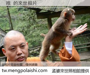 唯 來世的未來相片