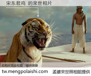 宋东君鸡 來世的未來相片