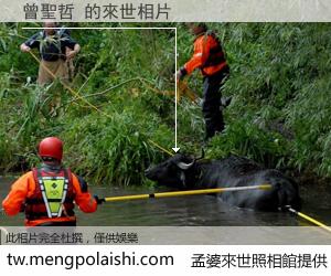 曾聖哲 來世的未來相片