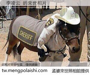 李凌云 來世的未來相片